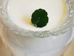 杏仁冻豆腐-申粤轩酒楼·三十年粤菜经典(丁香花园店)