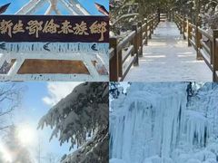 -五营红松林海景区