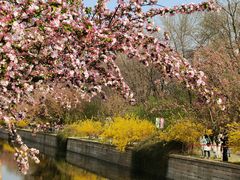 -元大都城垣遗址公园