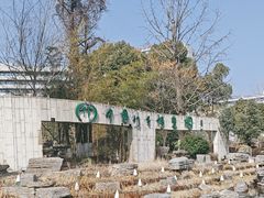 -安吉竹博园