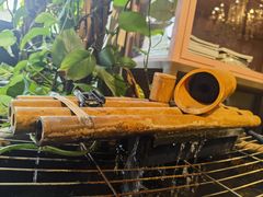 -可可露咖啡店(大东店)