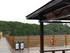 -大湾区中央湿地公园