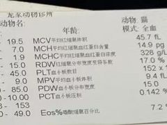 -拜鲁耶动物诊疗中心·宠家动物医院