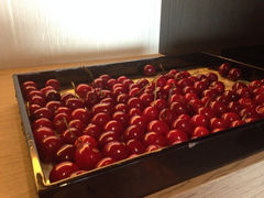 iphone_upload_pic-上海外滩悦榕庄酒店
