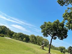 -旭宝高尔夫俱乐部