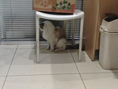 -美迦爱-牙专科·兔科·骨科诊疗中心(北苑店)