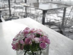 -The Rug Cafe(王府中环店)