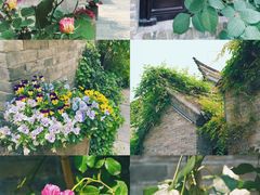 -回龙窝历史文化街区