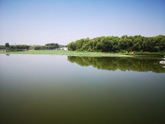 -大兴滨河森林公园