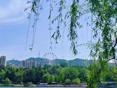 -南山公园