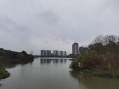 -风云岭森林公园