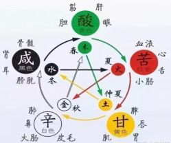 -雅曼妮spa美容养生