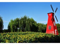 -廊坊文化艺术中心