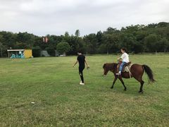 -合肥三国新城遗址公园