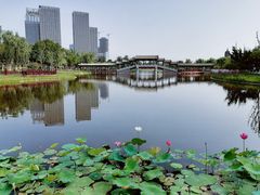 -西海子公园