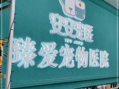 -安安宠医·臻爱宠物医院·宠保定点(营门口路分院)