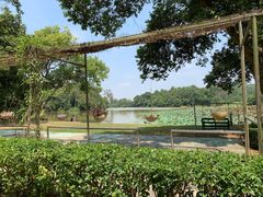 -南宁良凤江国家森林公园