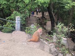 -黔灵山公园