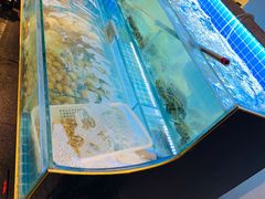 -火焰枪蛋·烧烤(奉天街店)