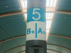 -龙阳路磁悬浮列车总站-停车场