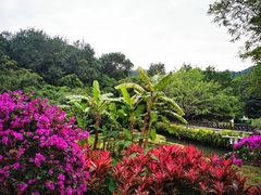 -呀诺达热带雨林