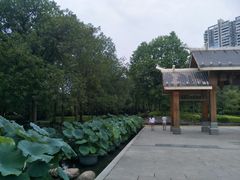 -金山公园