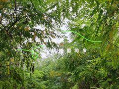 -南翠屏公园
