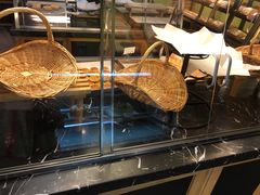 -皇冠幸福里动物奶油生日蛋糕(万达店)
