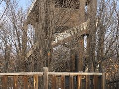 -帽儿山国家森林公园