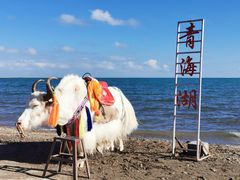-青海湖国家重点风景名胜区