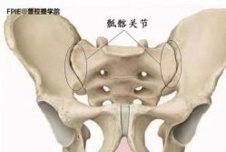 -斐然普拉提&梵歌瑜伽