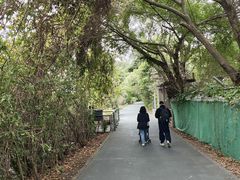 -华侨城湿地公园