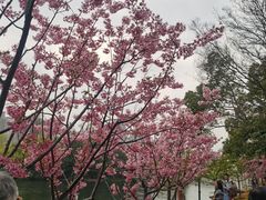 -SMP滑板公园