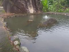 -象头山国家级自然保护区