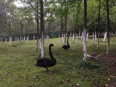 -艾溪湖湿地公园