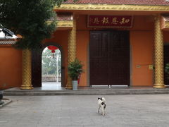 -报恩禅寺