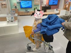 -宜家家居(西安未央商场店)