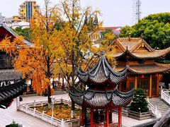 -上海东林寺(金山区)