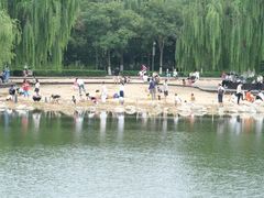 -大兴滨河森林公园