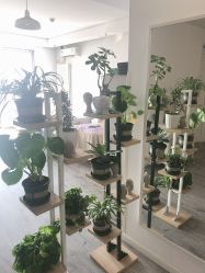 -一个差评成就的纹眉店