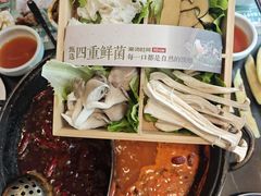 -巴蜀大将火锅(春熙店)