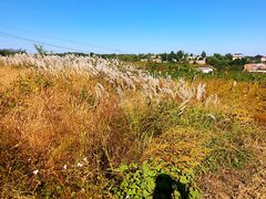 -丹世红酒庄·烧烤·团建·婚礼·水上运动