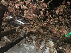 -绿茶餐厅(朝阳大悦城店)
