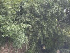 -南北湖湖光山居度假酒店