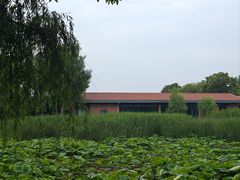 -东湖落雁景区