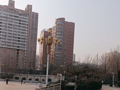 -西清公园