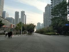 -红树湾(地铁站)