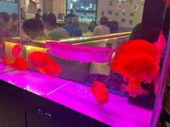 -五丁桥光头香辣蟹(望江橡树林店)