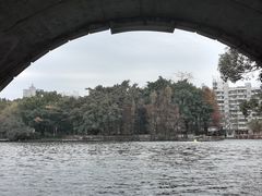 -荔湾湖公园