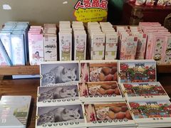 -猫咪博物馆(顶澳仔猫街店)